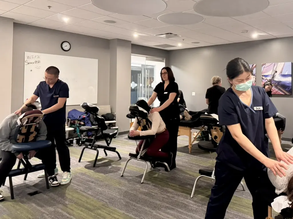 Practical chair massage instruction and learning at AMOM
