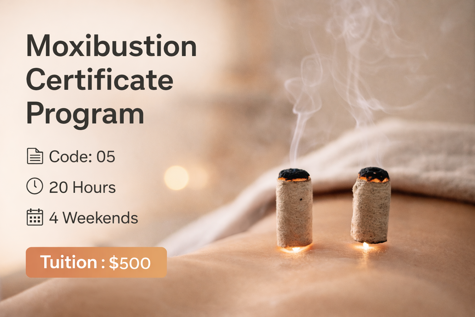 Moxibustion Certificate Program